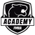 Furia Academy
